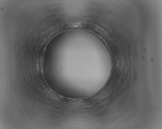 X0000070371442200606231635