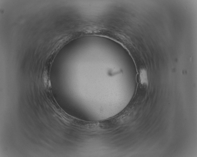 X0000070371444200606231635