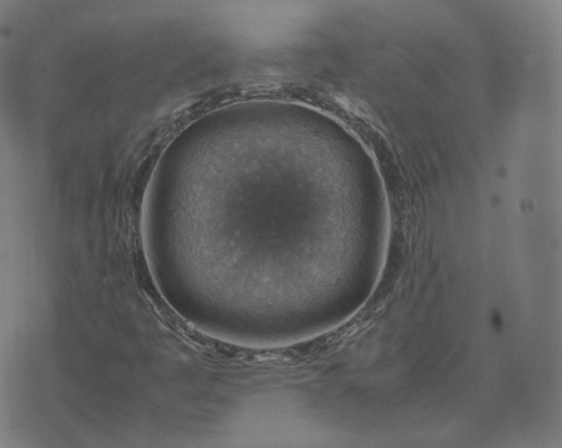 X0000070371445200606231635