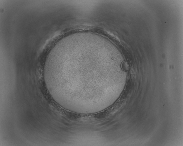 X0000070371447200606231635