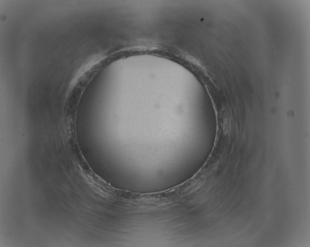 X0000070371448200606231635