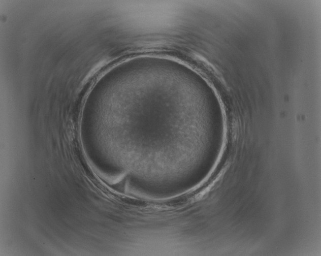 X0000070371449200606231635