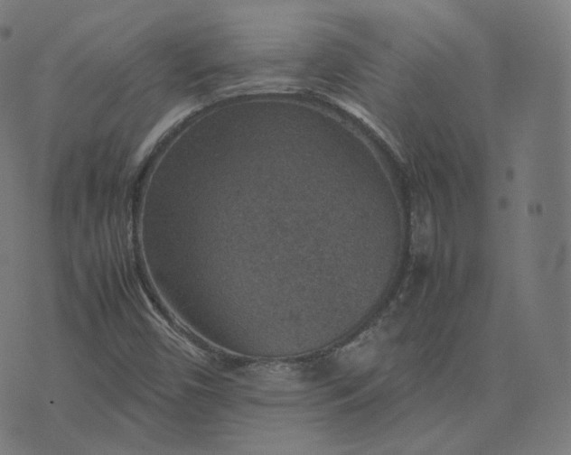 X0000070371450200606231635