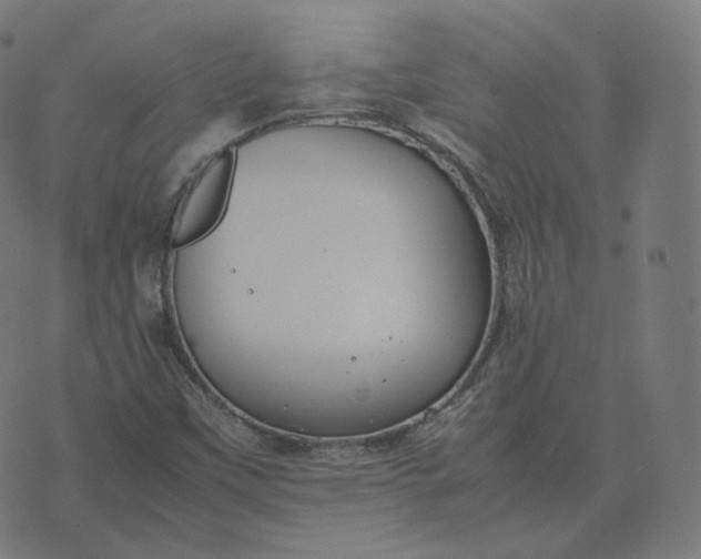 X0000070371451200606231635