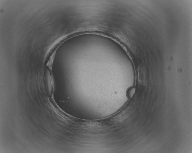 X0000070371452200606231635