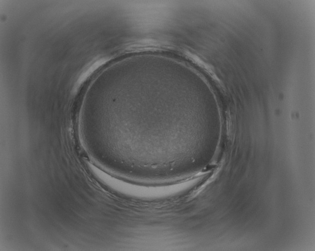 X0000070371453200606231635