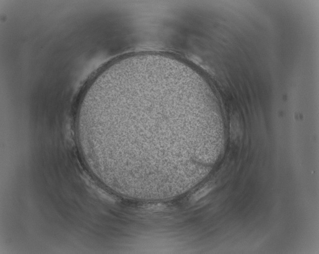 X0000070371454200606231635