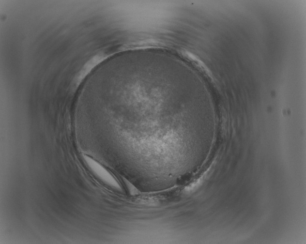 X0000070371457200606231635