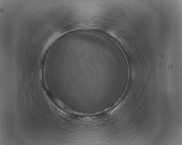 X0000070371459200606231635