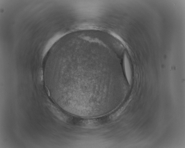 X0000070371461200606231635