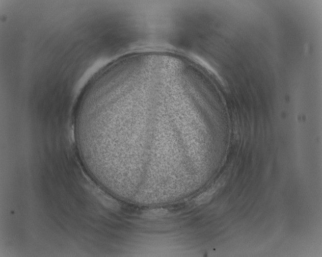 X0000070371462200606231635