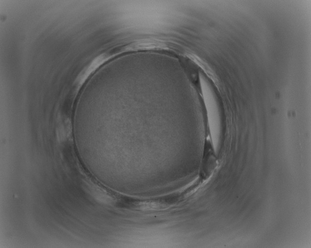 X0000070371465200606231635