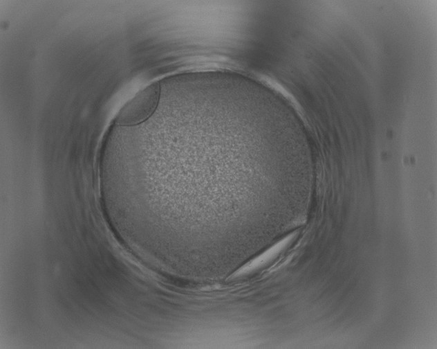 X0000070371467200606231635