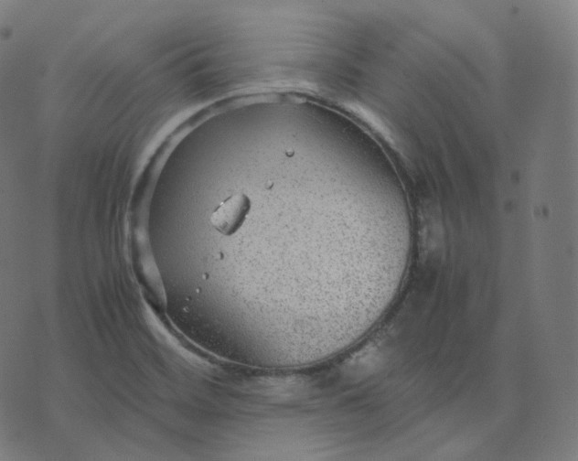 X0000070371468200606231635