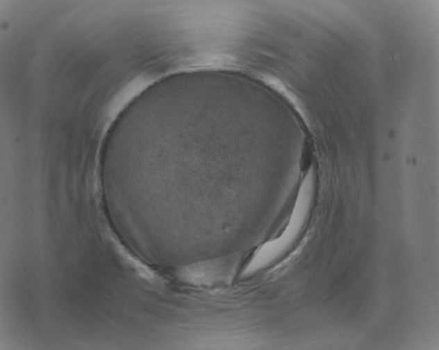 X0000070371469200606231635