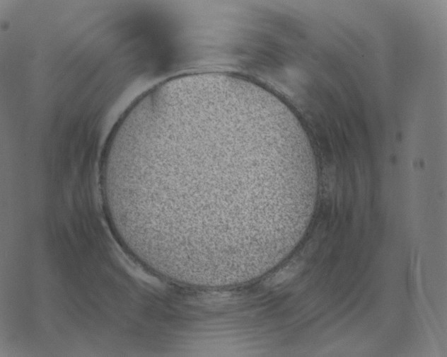 X0000070371470200606231635