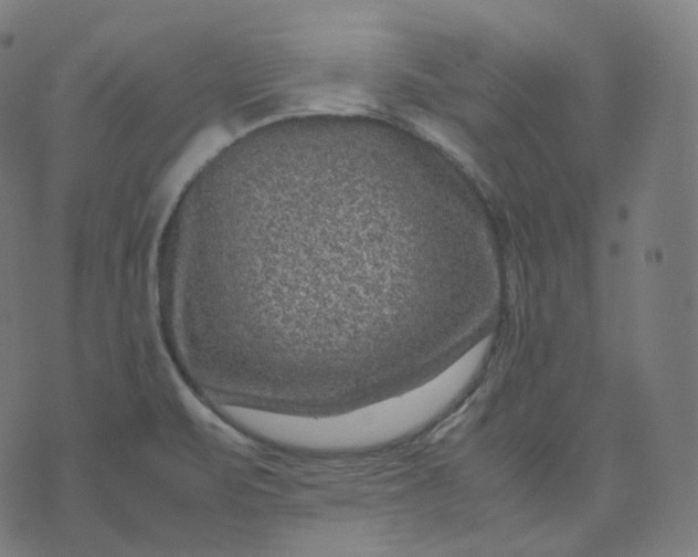 X0000070371471200606231635