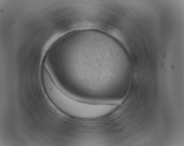 X0000070371472200606231635