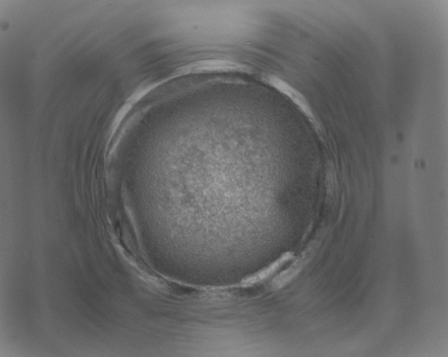 X0000070371473200606231635