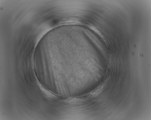 X0000070371474200606231635