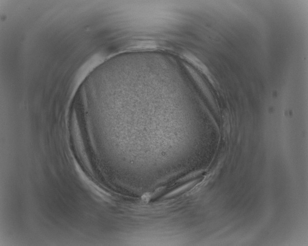 X0000070371475200606231635