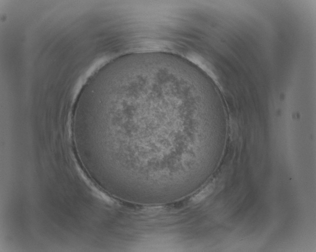 X0000070371477200606231635