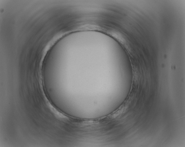 X0000070371478200606231635