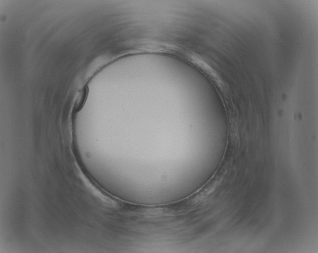 X0000070371479200606231635