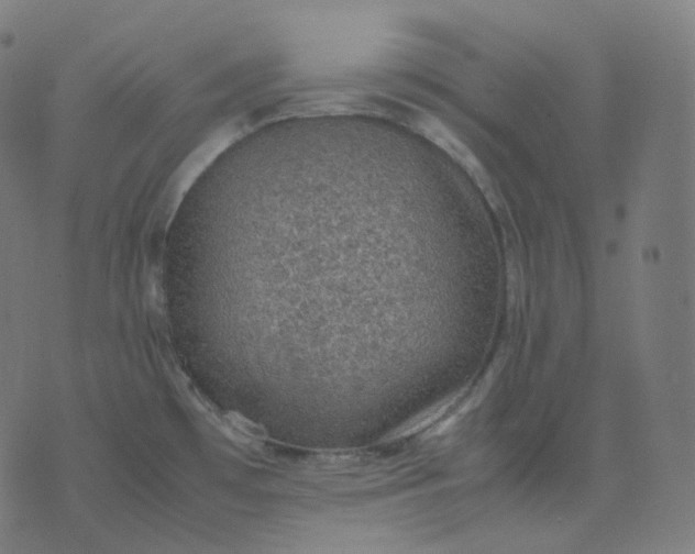 X0000070371481200606231635