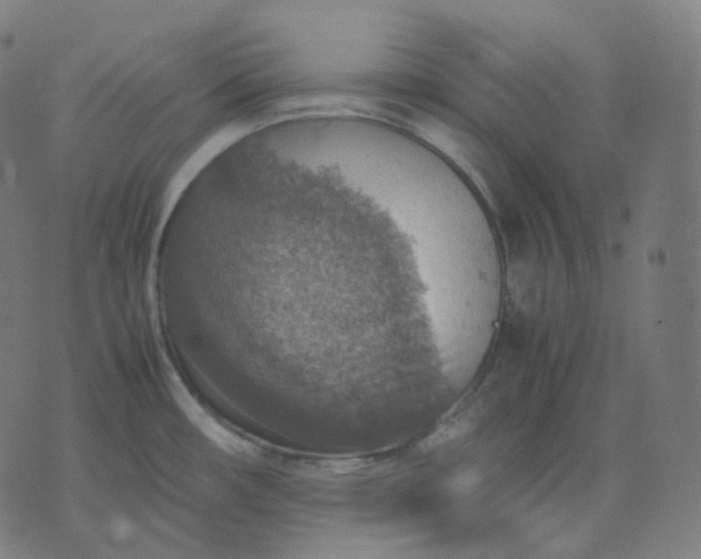 X0000070371482200606231635