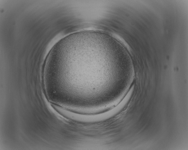 X0000070371483200606231635