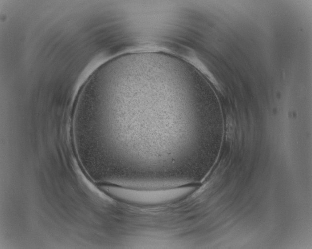 X0000070371484200606231635