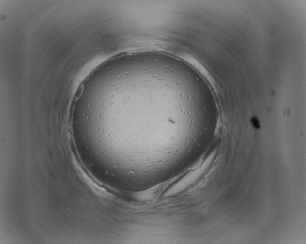 X0000070371485200606231635