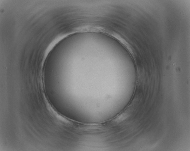 X0000070371486200606231635