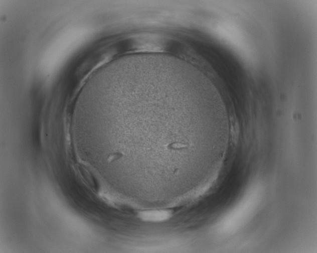 X0000070371487200606231635