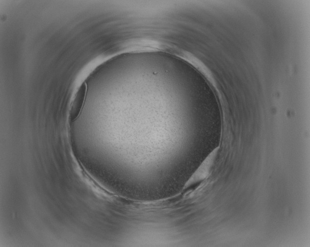 X0000070371488200606231635