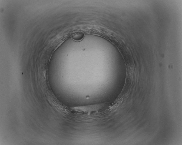 X0000070371489200606231634