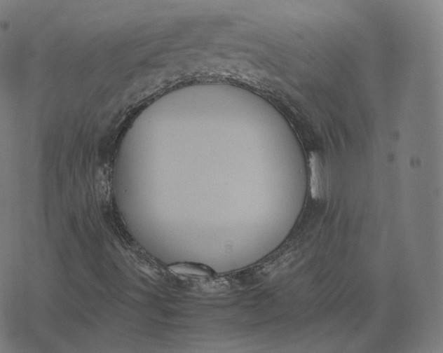 X0000070371491200606231634