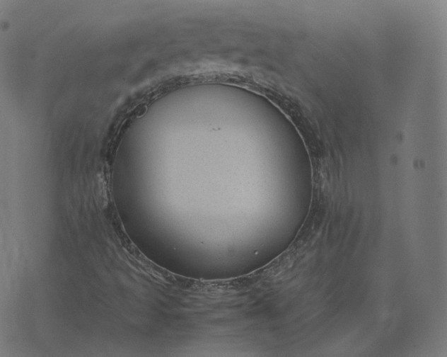 X0000070371493200606231634