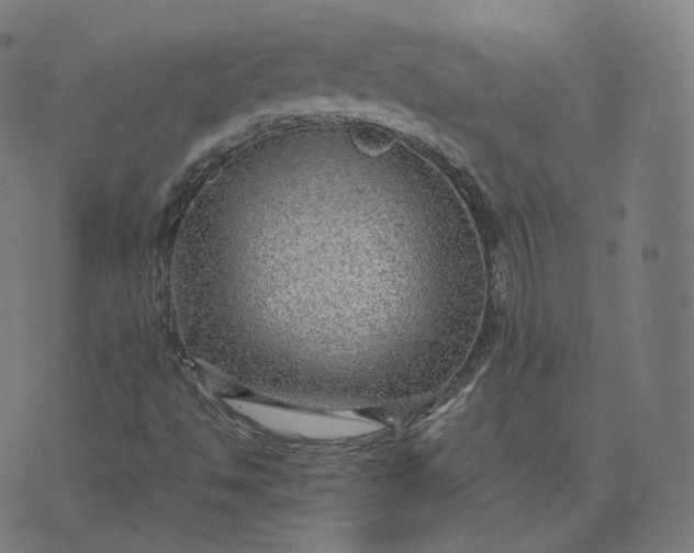 X0000070371494200606231634