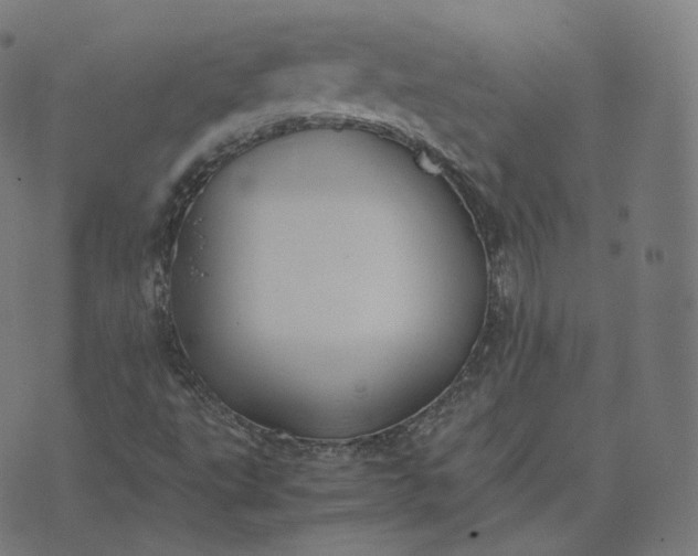 X0000070371495200606231634