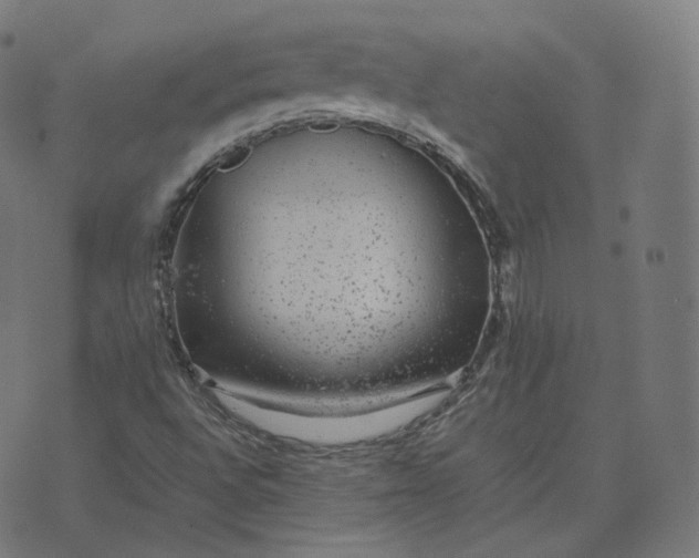 X0000070371496200606231634