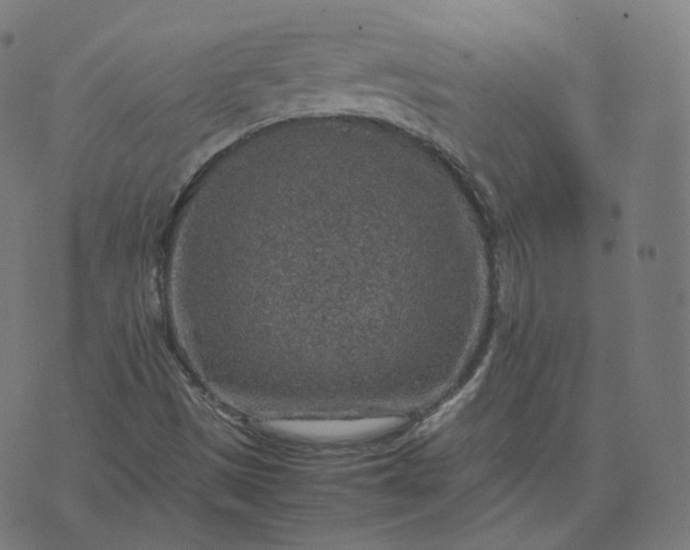 X0000070371497200606231634