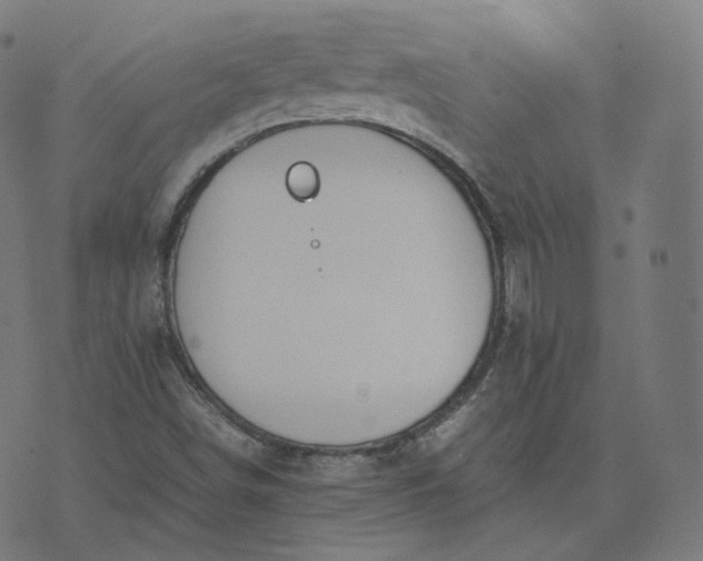 X0000070371498200606231634