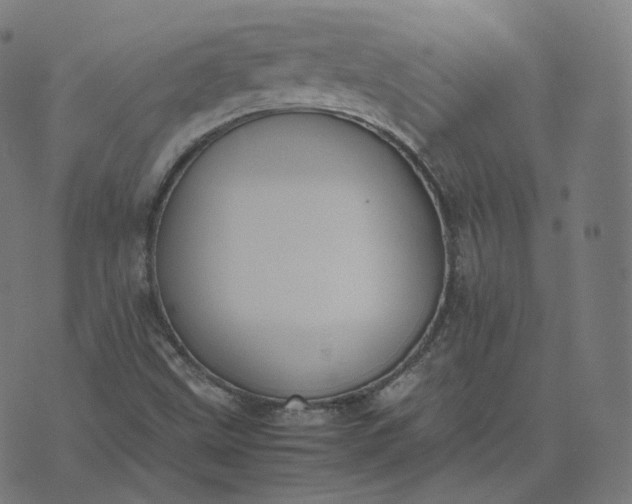 X0000070371499200606231634