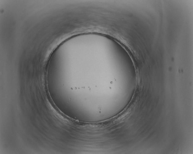 X0000070371500200606231634