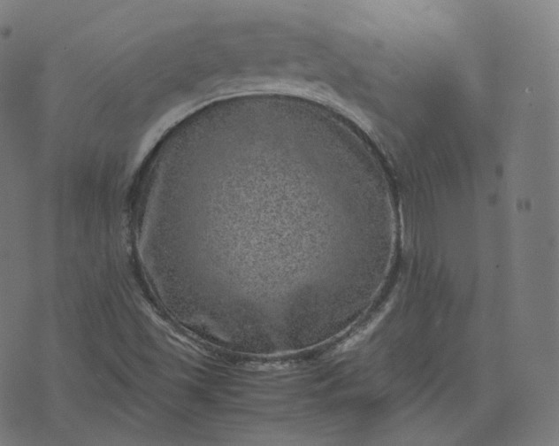 X0000070371501200606231634