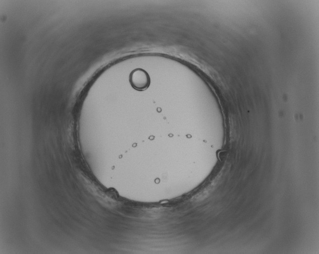 X0000070371502200606231634