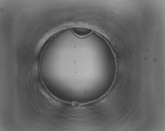 X0000070371503200606231634