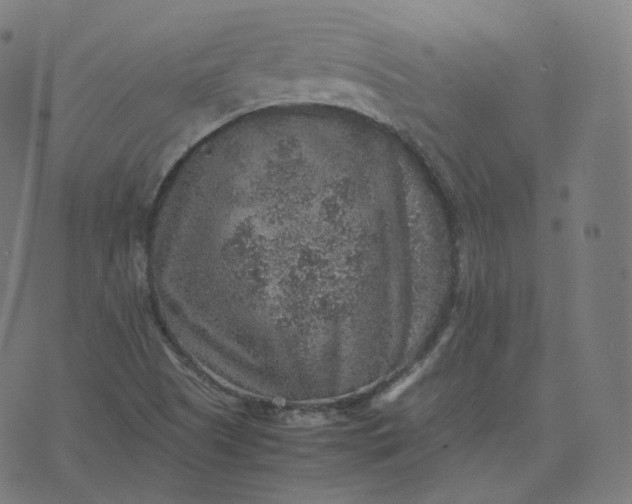 X0000070371505200606231634